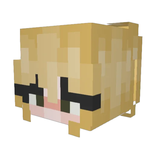 Isla2079 Minecraft avatar head, 3D render