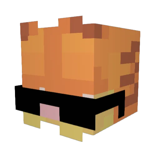 Islakissa Minecraft avatar head, 3D render