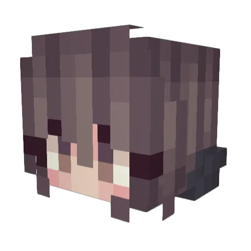 Islamofascism Minecraft avatar head, 3D render