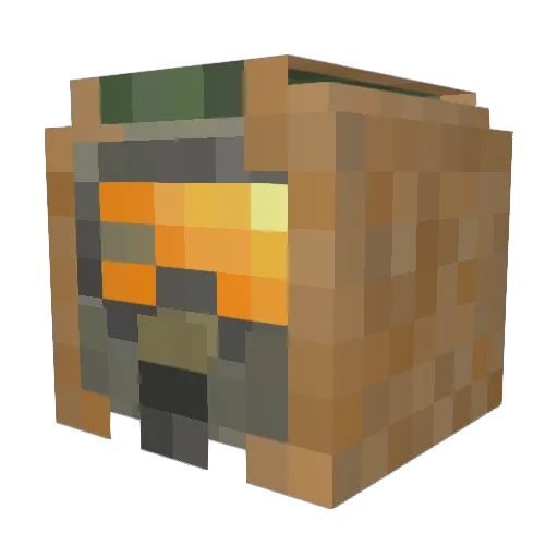Island_Jake Minecraft avatar head, 3D render