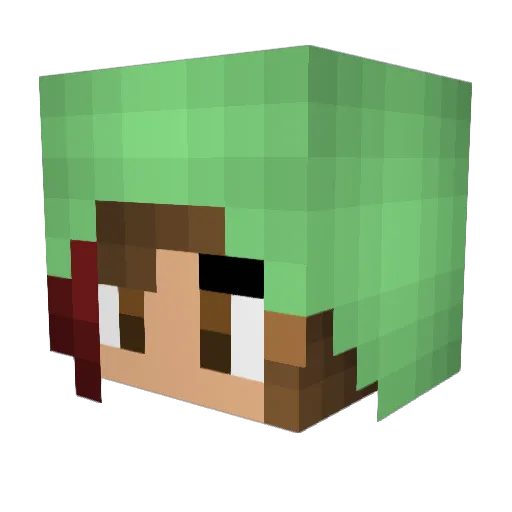 Islandsurvivor3 Minecraft avatar head, 3D render