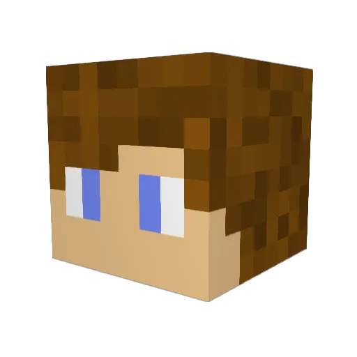 Ismael_of_china Minecraft avatar head, 3D render