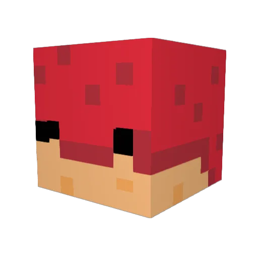 Ismashpenguins Minecraft avatar head, 3D render