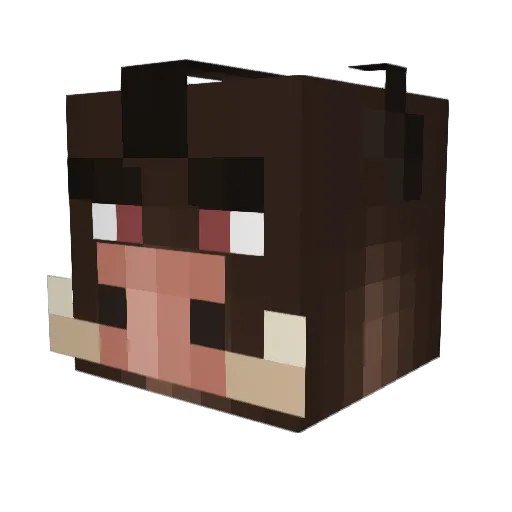 Isnoo1337 Minecraft avatar head, 3D render