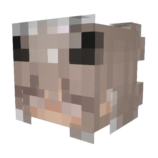 Isolie99 Minecraft avatar head, 3D render