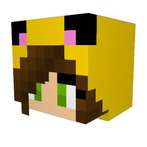 Israwra Minecraft avatar head, 3D render