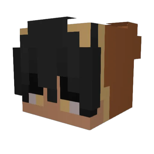 Minecraft-Avatar von IssaRiles: Kopf als 3D-Render