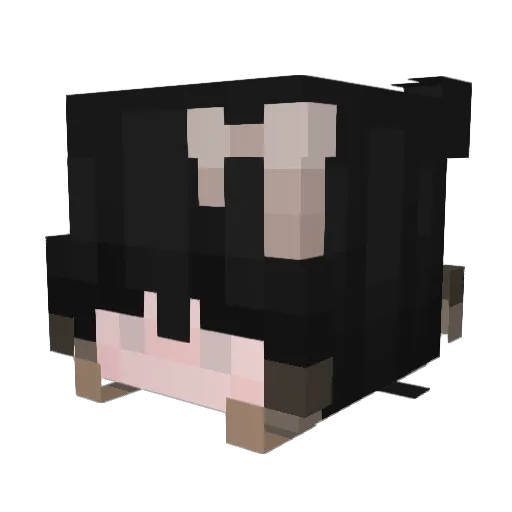 IssaWaves Minecraft avatar head, 3D render