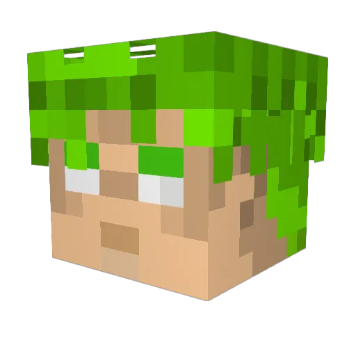 Issac55 Minecraft avatar head, 3D render