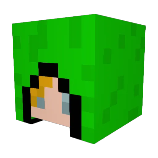 Ister1728 Minecraft avatar head, 3D render