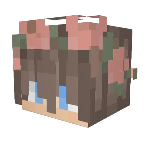 Isthimius Minecraft avatar head, 3D render