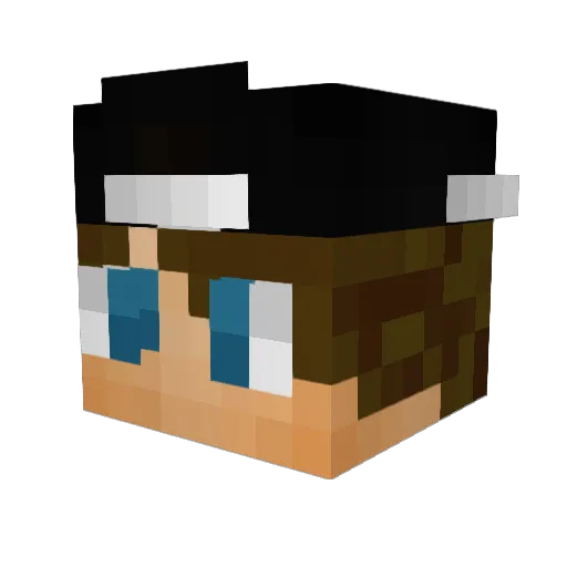 IstxckInYourSis Minecraft avatar head, 3D render