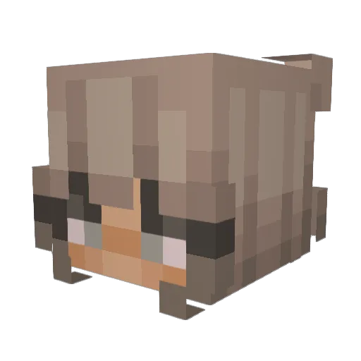 Iszyyyy Minecraft avatar head, 3D render