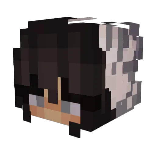 ItIsKoala Minecraft avatar head, 3D render
