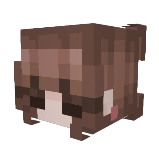 ItMeFran Minecraft avatar head, 3D render