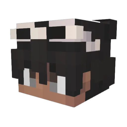 ItSso_ze Minecraft avatar head, 3D render
