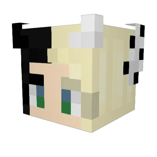 ItThatMaxsonWolf Minecraft avatar head, 3D render