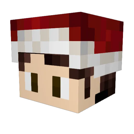 ItZIsaac2 Minecraft avatar head, 3D render