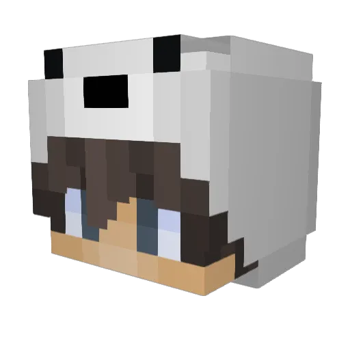 Itay23 Minecraft avatar head, 3D render
