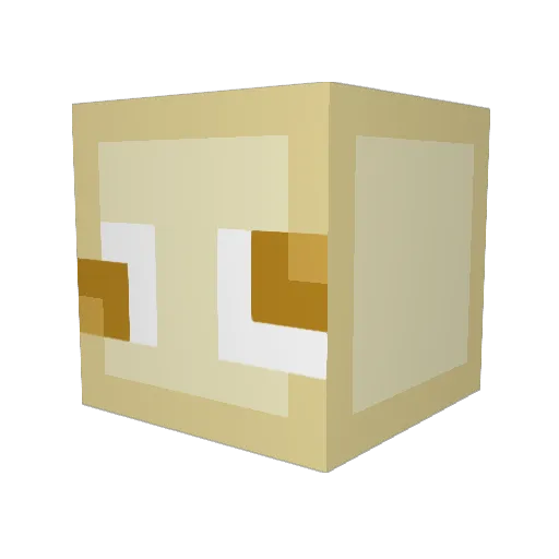 ItayRocks Minecraft avatar head, 3D render