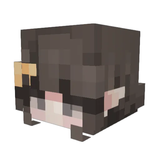 ItchyEagle_ Minecraft avatar head, 3D render
