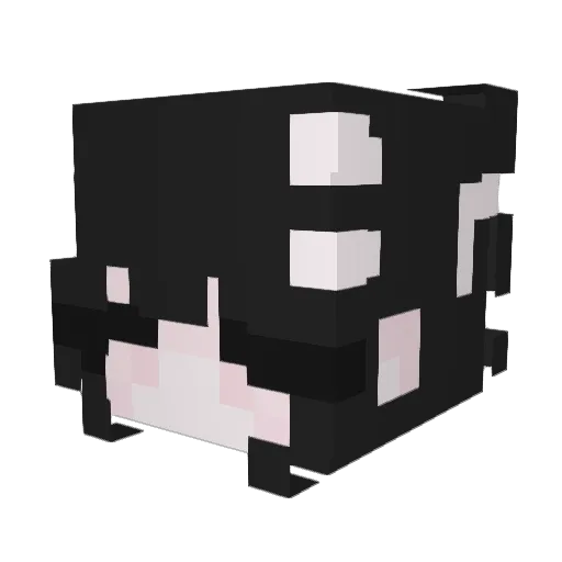 ItchyKite45 Minecraft avatar head, 3D render