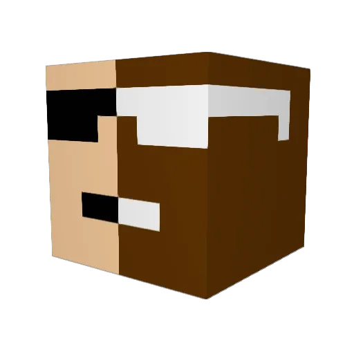 ItemFnt Minecraft avatar head, 3D render