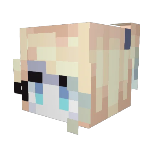 Itram19 Minecraft avatar head, 3D render