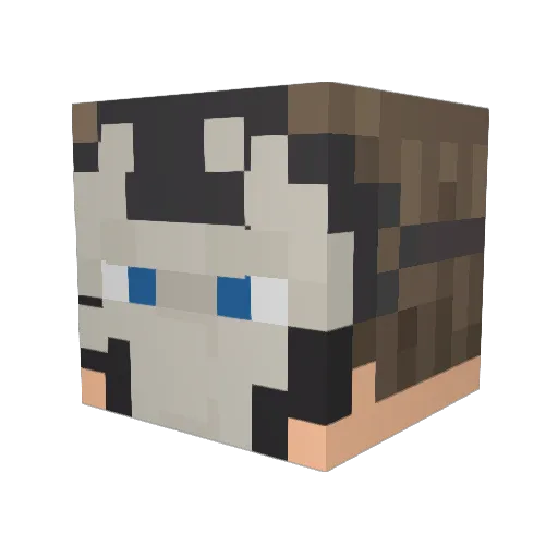 ItsAD33 Minecraft avatar head, 3D render