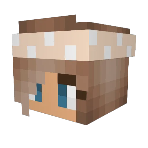 ItsALLrisky Minecraft avatar head, 3D render