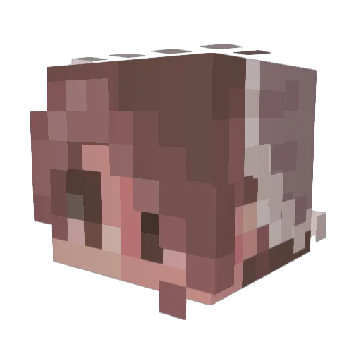 ItsAPixie Minecraft avatar head, 3D render