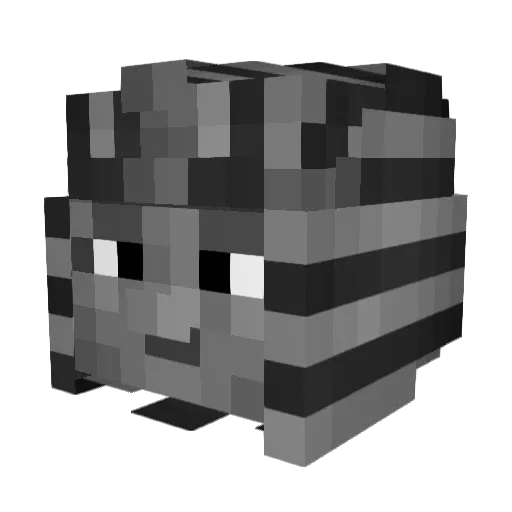 ItsAcey Minecraft avatar head, 3D render