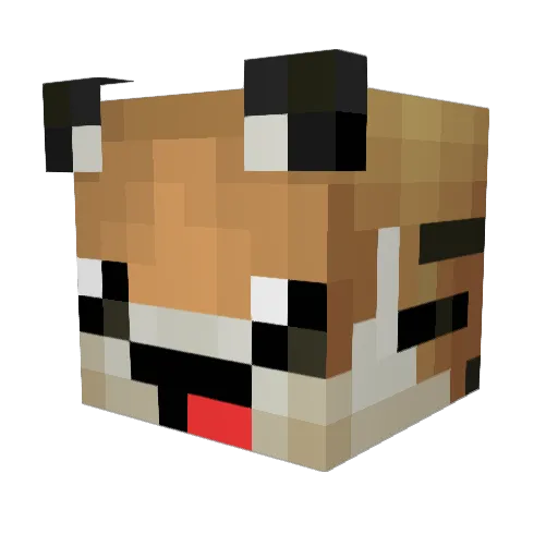 ItsAladinn Minecraft avatar head, 3D render