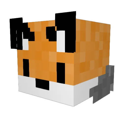 ItsAlmightyFox Minecraft avatar head, 3D render