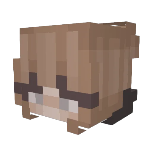 ItsAlpha246 Minecraft avatar head, 3D render
