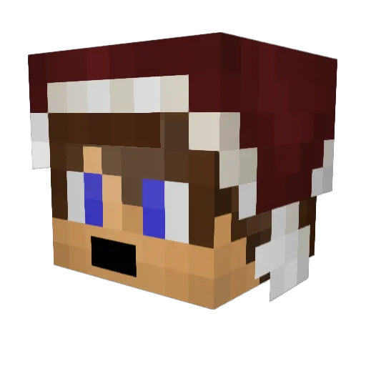 ItsAnonyme Minecraft avatar head, 3D render
