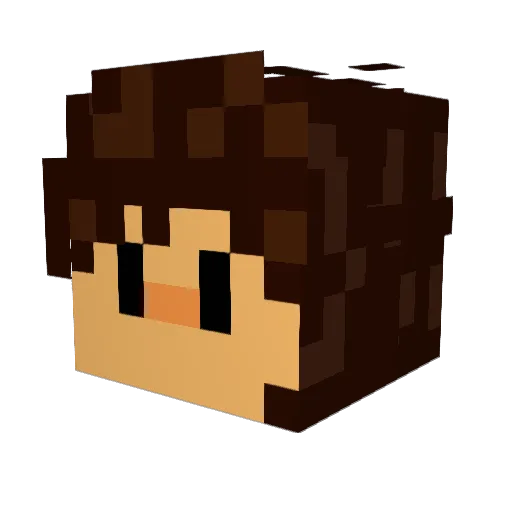 ItsAriTime Minecraft avatar head, 3D render