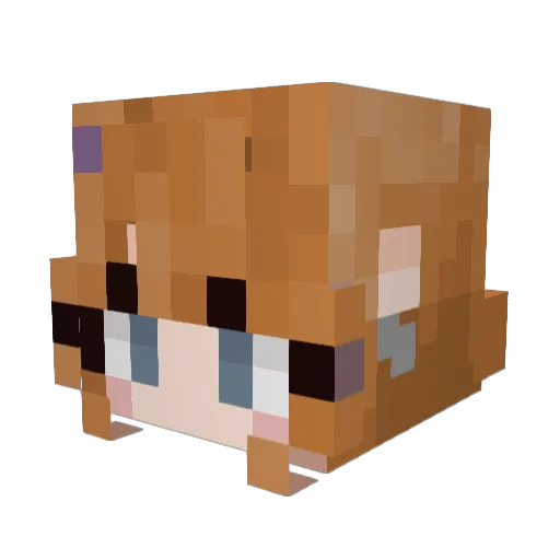 ItsAspen_ Minecraft avatar head, 3D render