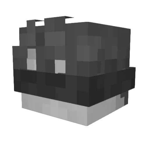 ItsAtomical Minecraft avatar head, 3D render