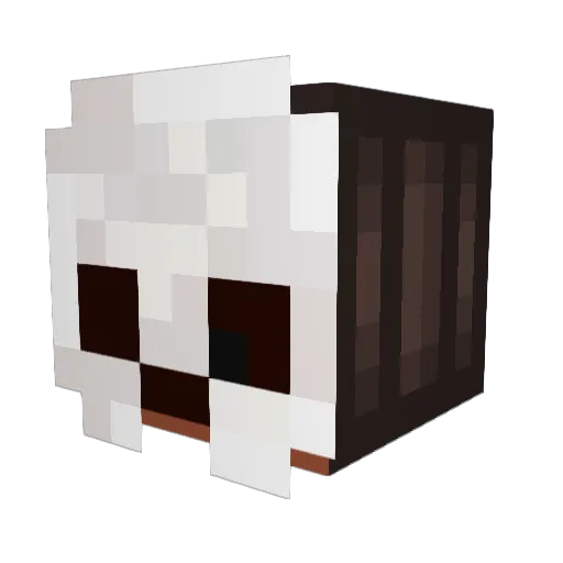 ItsAugust05 Minecraft avatar head, 3D render