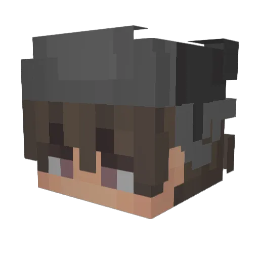 ItsBaerchenLeo Minecraft avatar head, 3D render