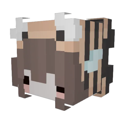 ItsBeebop Minecraft avatar head, 3D render