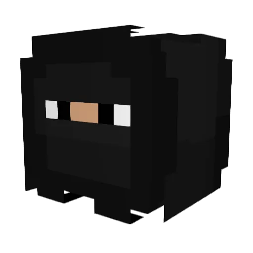 ItsBerkeleybrah Minecraft avatar head, 3D render