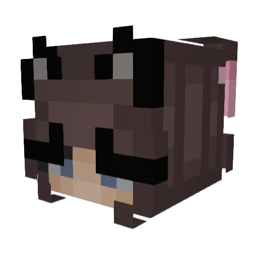ItsBigCat Minecraft avatar head, 3D render