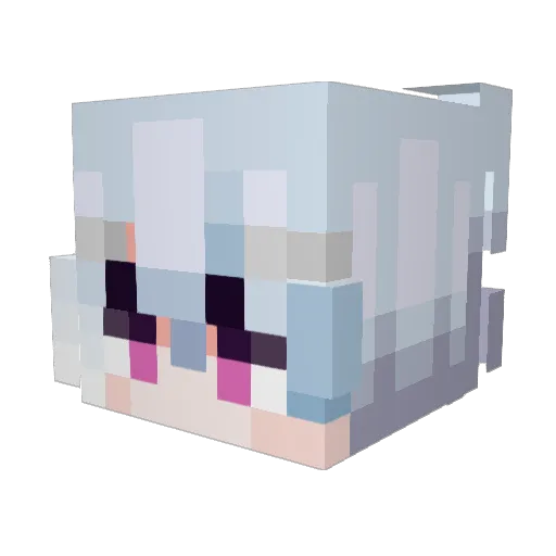 ItsBnn Minecraft avatar head, 3D render