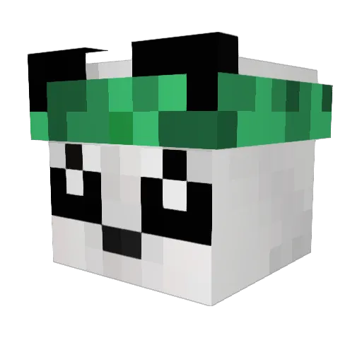 ItsByramTime Minecraft avatar head, 3D render