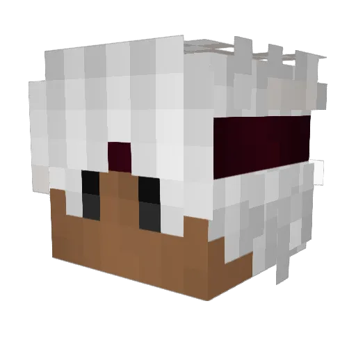 ItsChocolateChip Minecraft avatar head, 3D render