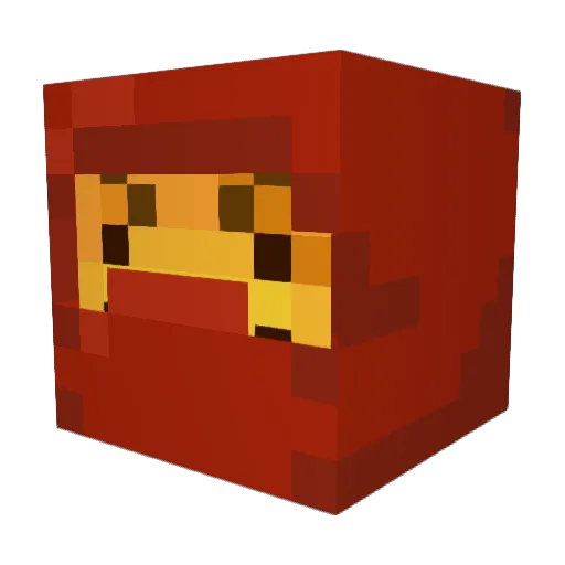 ItsCocaKoala Minecraft avatar head, 3D render
