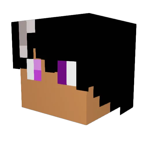 ItsCriz Minecraft avatar head, 3D render