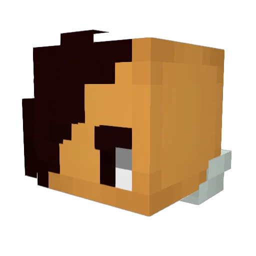 ItsDaDrop Minecraft avatar head, 3D render